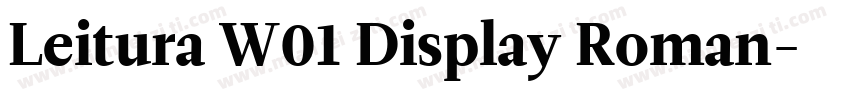 Leitura W01 Display Roman字体转换